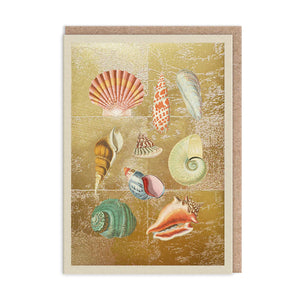 Shell Collection Blank Greeting Card