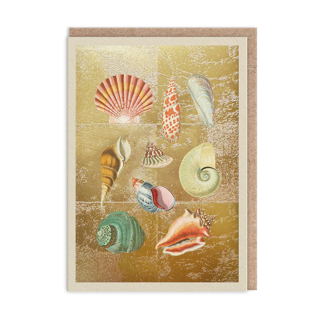 Shell Collection Blank Greeting Card