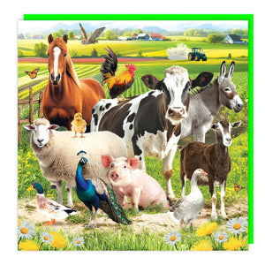 Farmyard Animals Blank Lenticular 3D Card