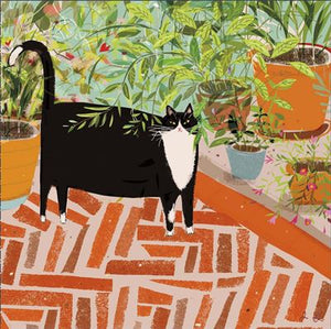 Fat Cat Blank Card