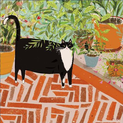 Fat Cat Blank Card