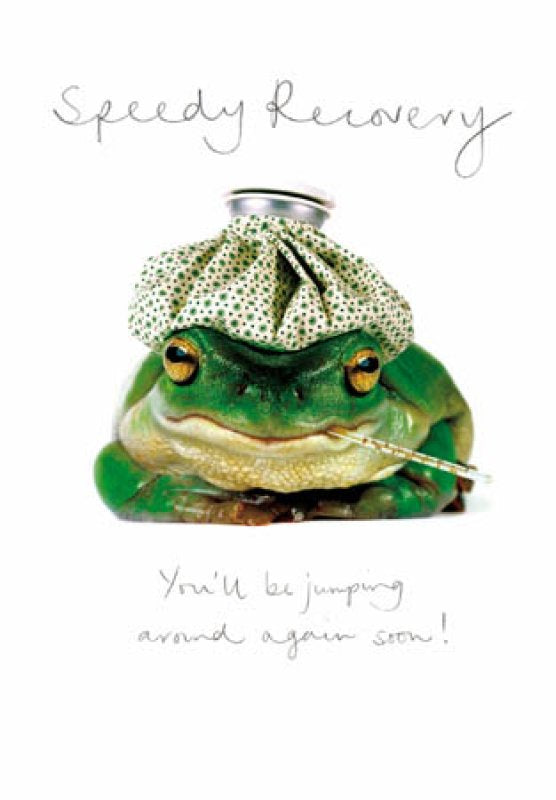 Sleedy Recovery Frog Get Well Card