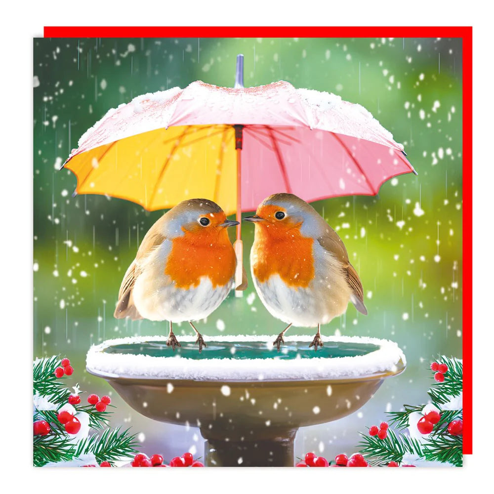 Robin Christmas Lenticular 3D Card
