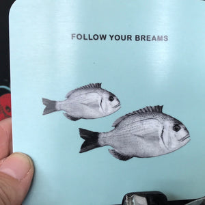 Follow Your Breams Coaster