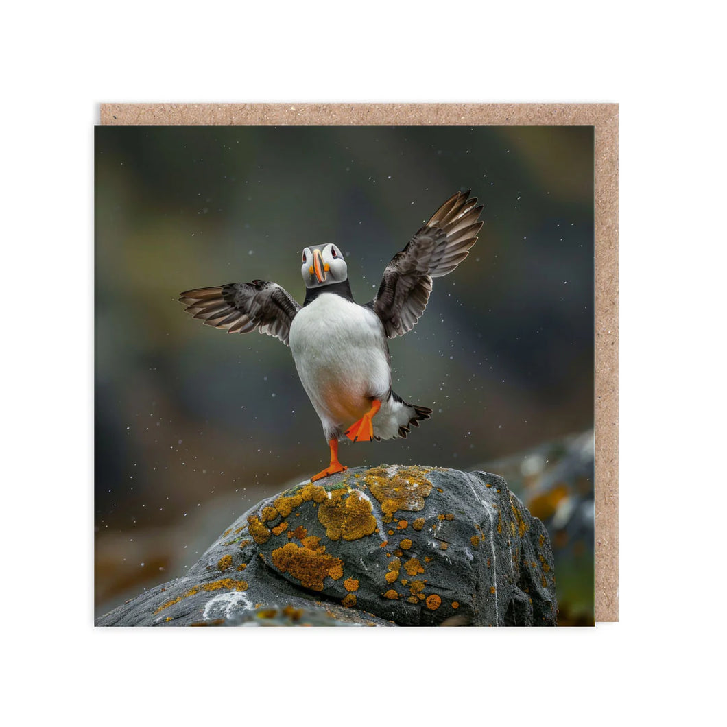 Dancing Puffin Blank Card