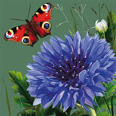 Butterfly & Cornflower Blank Card