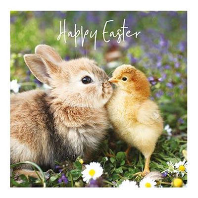 Bunnie & Chick Easter Card