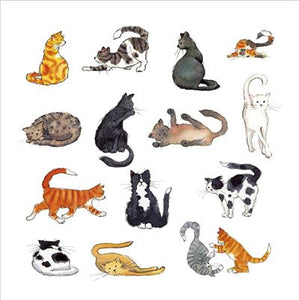 Cats Blank Card