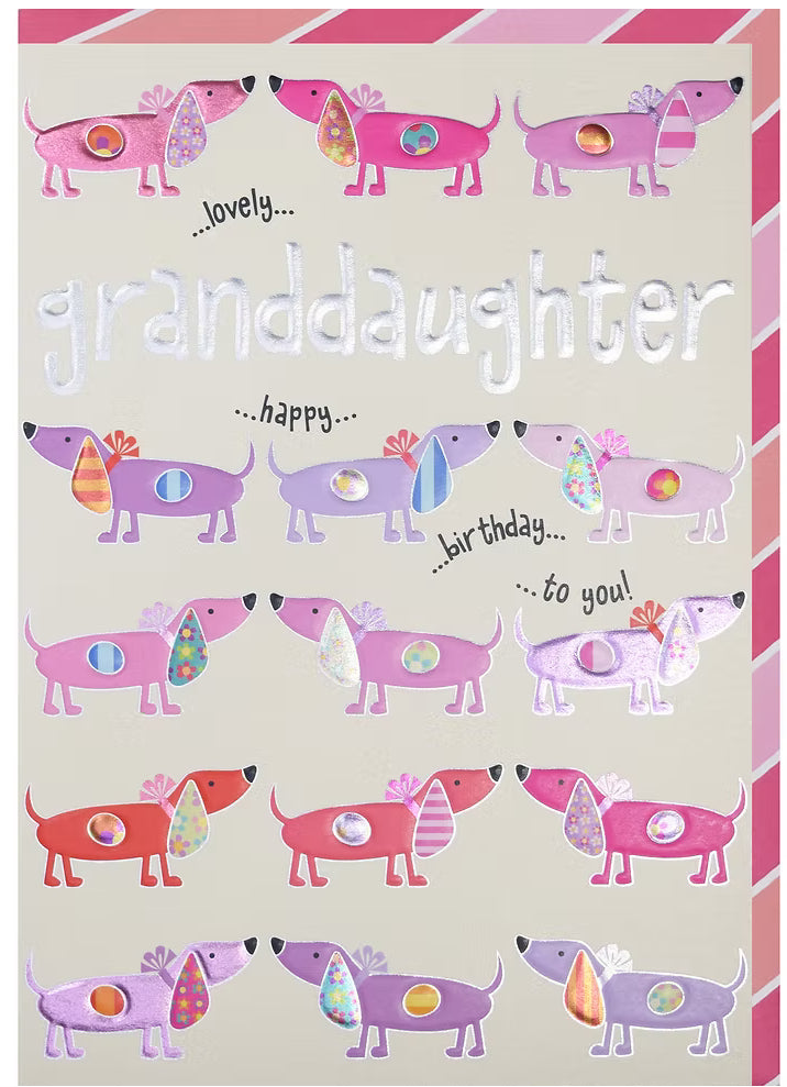 Granddaughter Sausage Dog Birthday Card