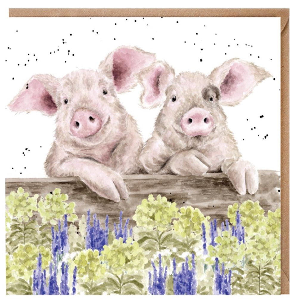 Pig Blank Card by Wrendale Designs