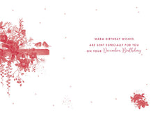 Load image into Gallery viewer, Robin December Birthday
