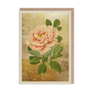 Tree Peony Greeting Card