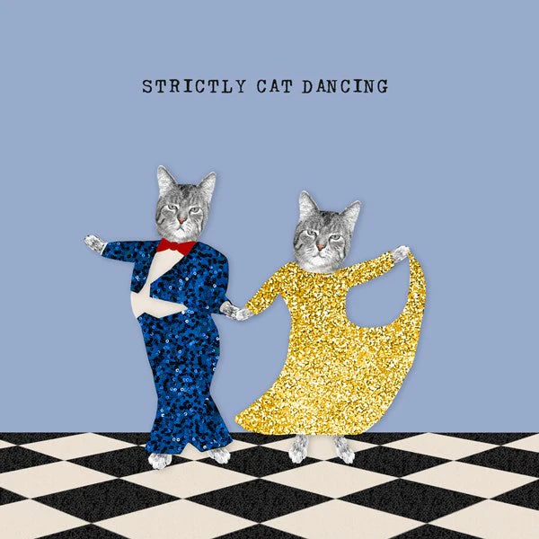 Strictly Cat Dancing Blank Card