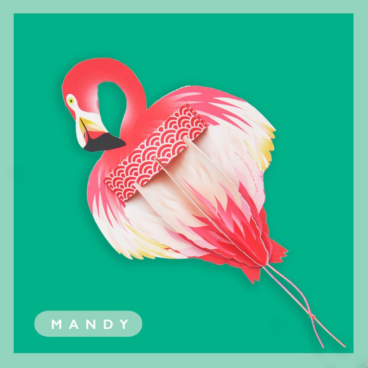 Mandy The Flamingo 3d Pop-up Card by Wallypops