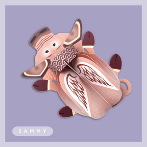 Sammy The Pig 3d Pop-up Card by Wallypops