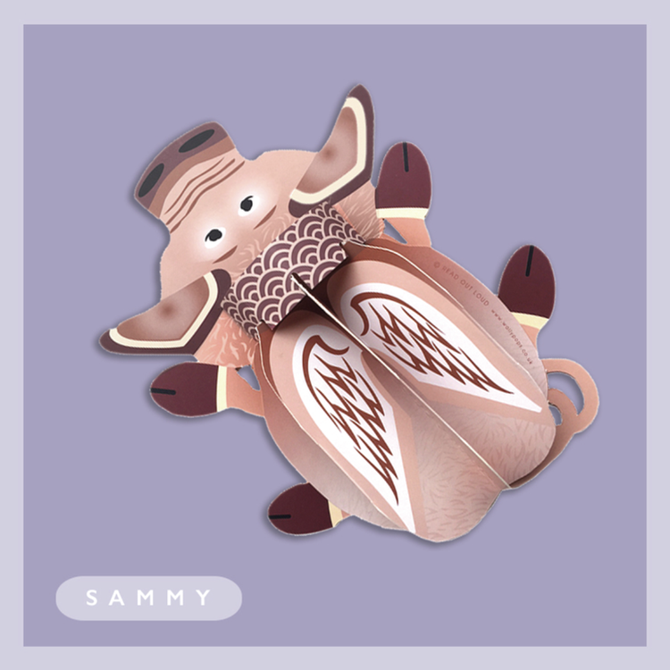 Sammy The Pig 3d Pop-up Card by Wallypops