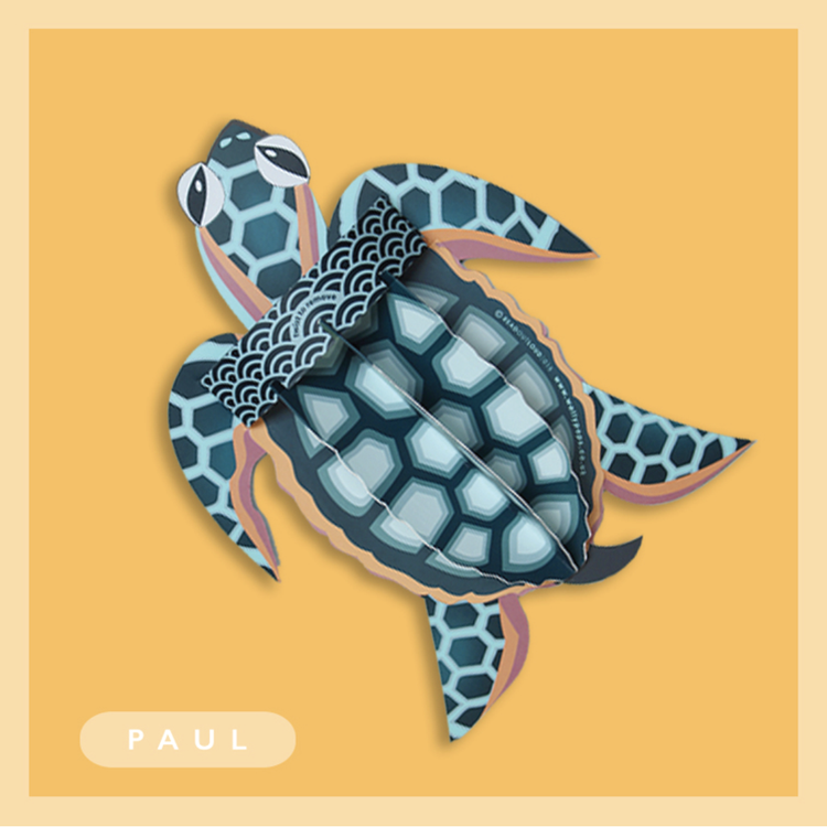 Paul The Turtle 3d Pop-up Card by Wallypops