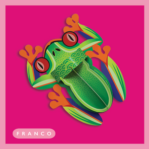 Franco The Frog 3d Pop-up Card by Wallypops
