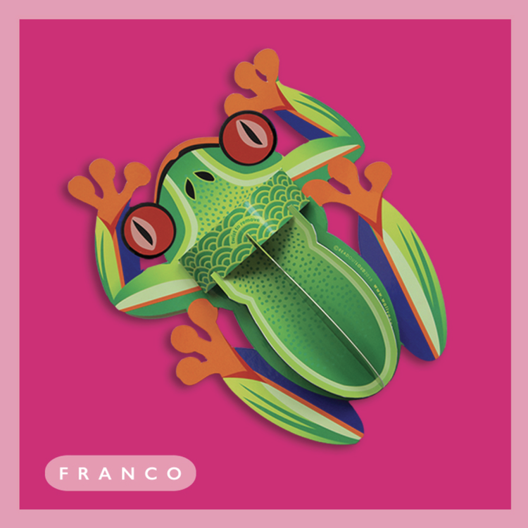 Franco The Frog 3d Pop-up Card by Wallypops