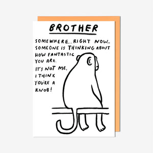 ‘I Think You’re A Knob’ Brother Birthday Card