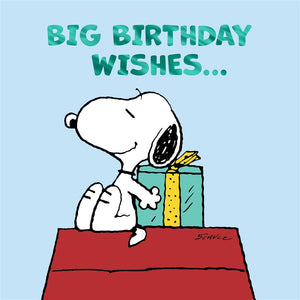 Peanuts Big Birthday Wishes Card