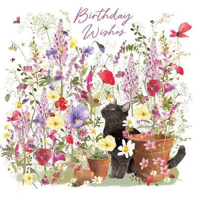 Cat in Garden Birthday Card