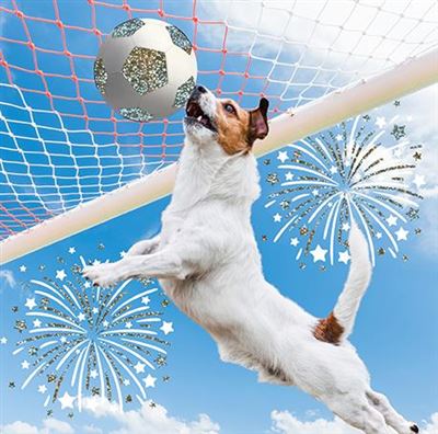 Jack Russel Terrier Scoring Goal Football Birthday Card