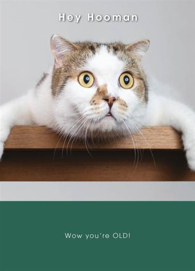 Shocked Cat Birthday Card