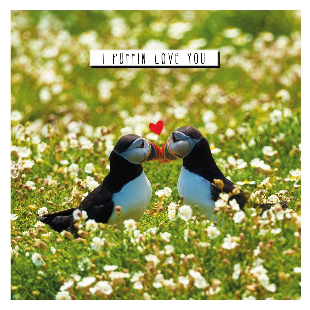 Puffin Love You Blank Card
