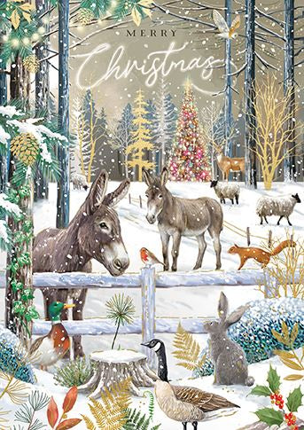 Donkeys and Wild Animals Christmas Card
