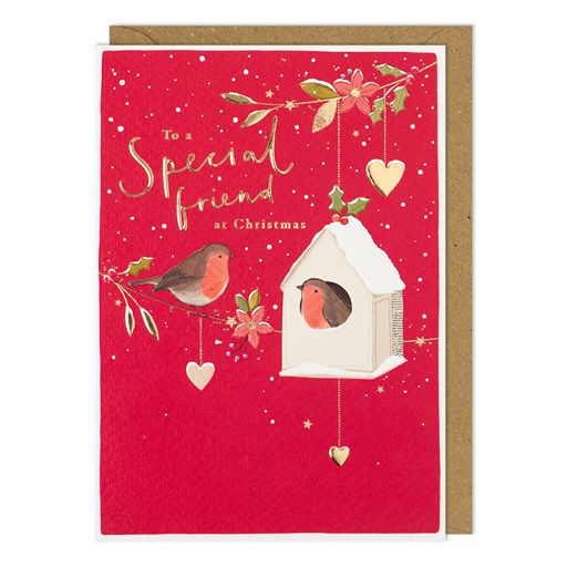Special Friend Robin Christmas Card