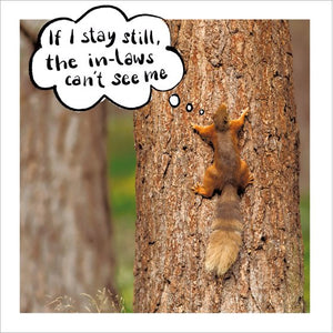 Red Squirrel Humour Blank Card