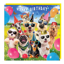 Load image into Gallery viewer, Dogs in Shades Lenticular 3D Card
