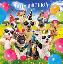 Load image into Gallery viewer, Dogs in Shades Lenticular 3D Card
