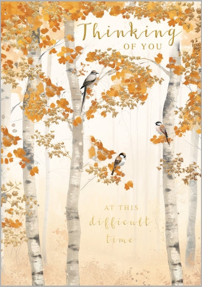 Silver Birch Thinking Of You Card