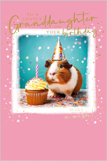 Guinea Pig With Cupcake Granddaughter Birthday Card
