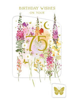 Load image into Gallery viewer, 75th Birthday Card
