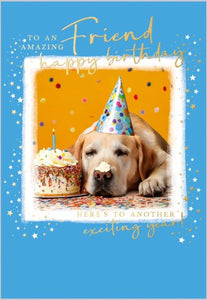 Amazing Friend Birthday Card