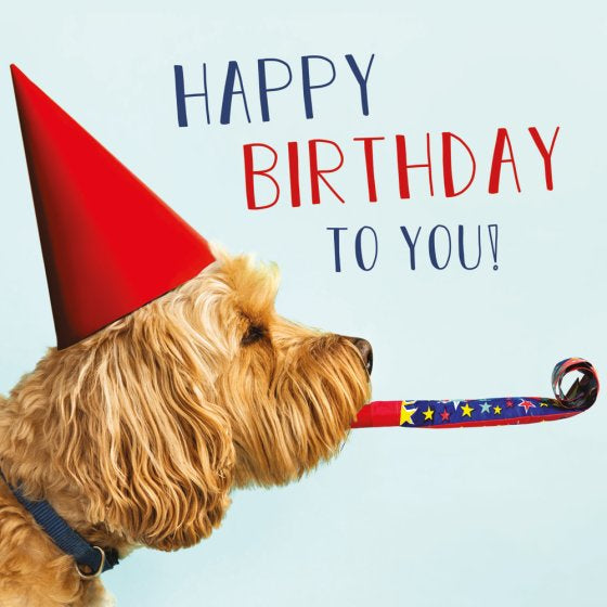 Birthday Dog Card