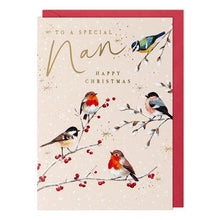Load image into Gallery viewer, Nan Winter Birds Christmas Card
