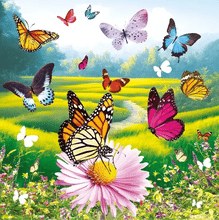 Load image into Gallery viewer, Butterfly Lenticular 3D Card
