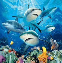 Load image into Gallery viewer, Shark Lenticular 3D Card (Copy)
