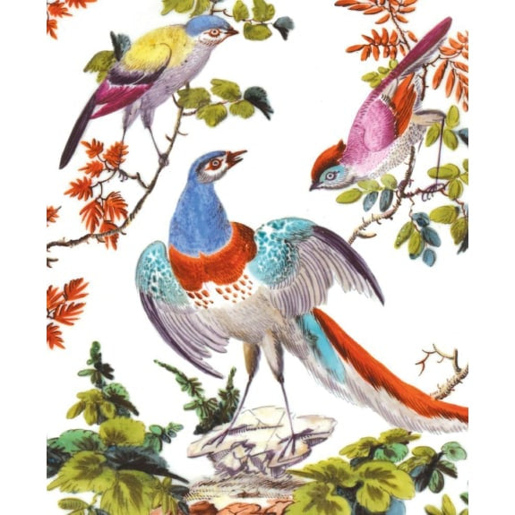 V&A Bird Card