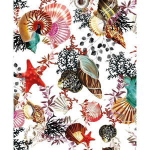 V&A Seashells Card