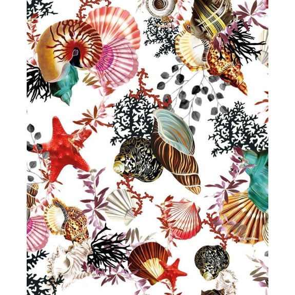 V&A Seashells Card
