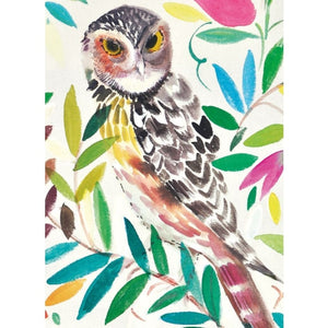 V&A Wise Owl Card