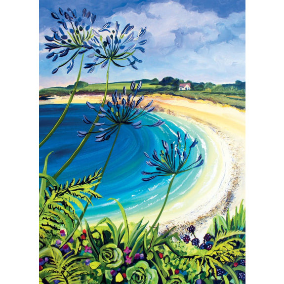 V&A Beach Card