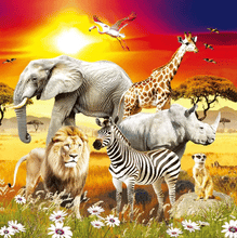 Load image into Gallery viewer, Elephant,Giraffe, Lion, Zebra, Rhino &amp; Meerkat Lenticular 3D Card
