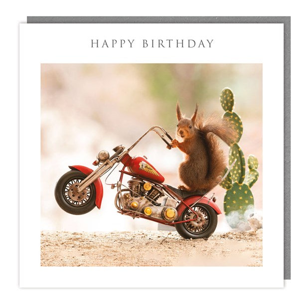 Red Squirrel On A Motorcycle Birthday Card