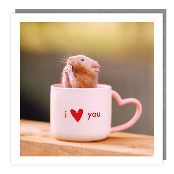 Hamster In A Mug I Love You Card